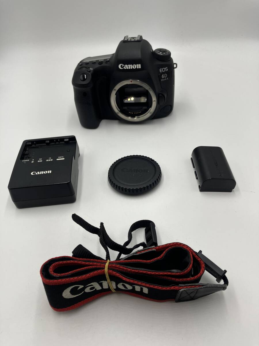 【動作確認済】Canon EOS 6D Mark II ボディ フルサイズ一眼レフ