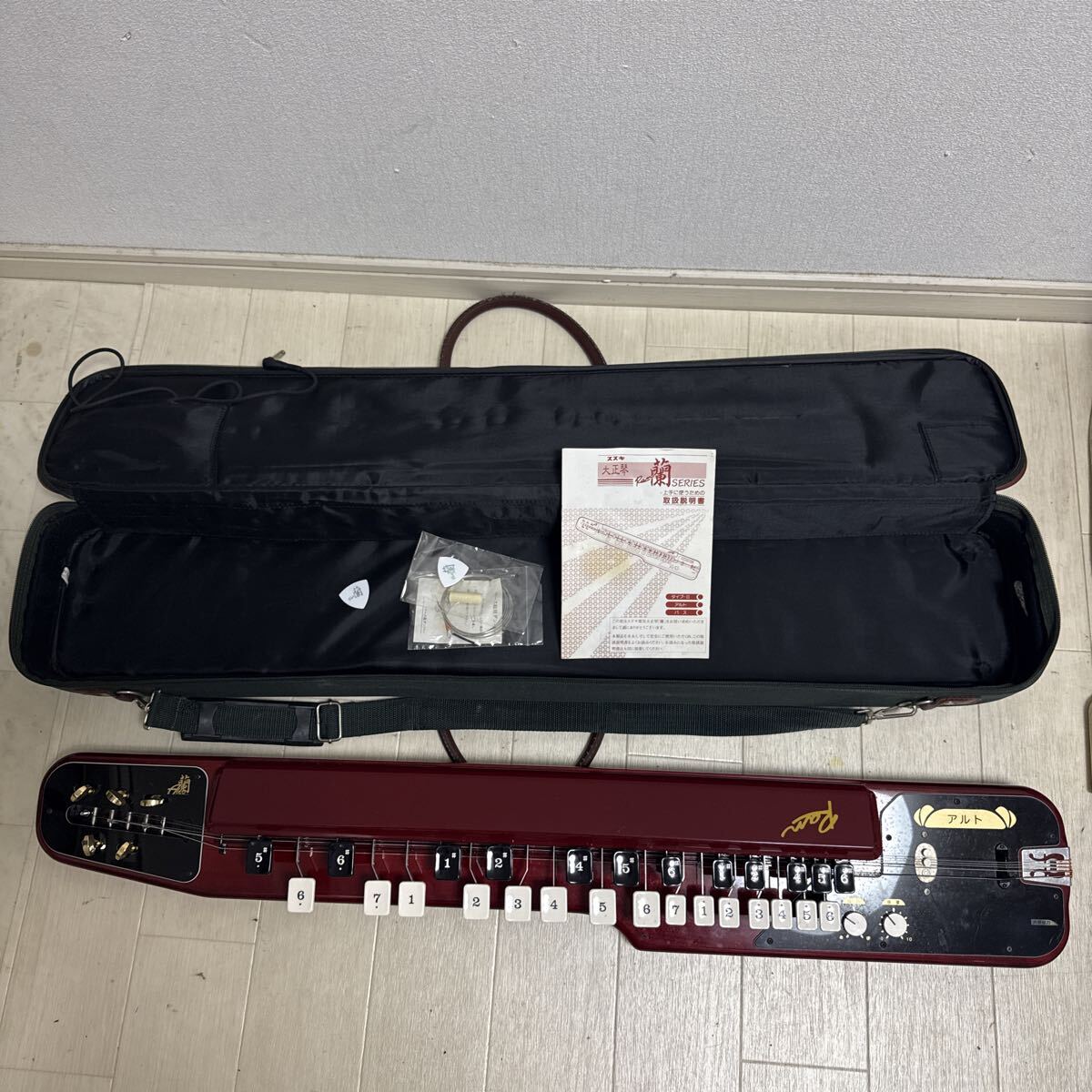 電気大正琴 弦楽器 ハードケース付