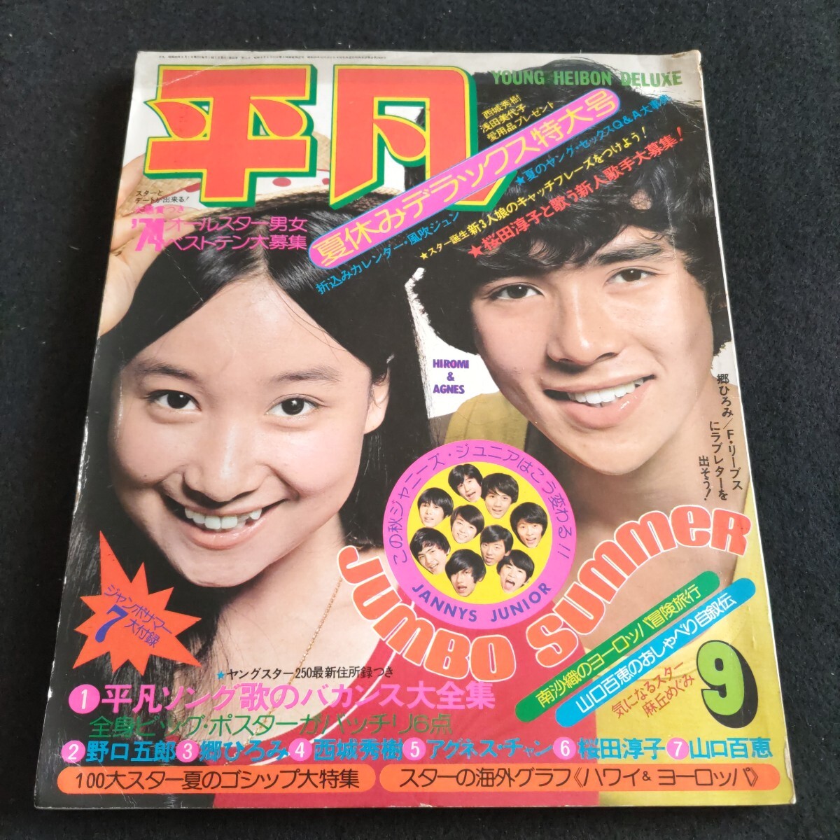 平凡▲1974年9月号▲風吹ジュン▲沢田研二▲南 沙織▲郷 ひろみ▲北公次▲山口百恵▲麻丘めぐみ▲アグネス・チャン▲アラン・ドロン