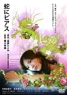 再生確認済レンタル落ち DVD「蛇にピアス」送料 140/185/190/210/230 円