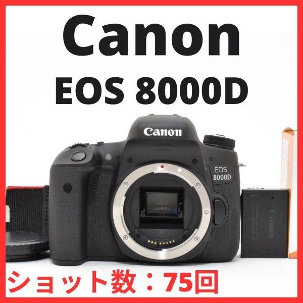 E15[7802]30★ほぼ未使用★ キヤノン Canon EOS 8000D ボディ 【ショット数 75回】