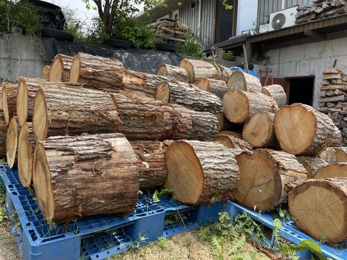 楢（ナラ）原木玉切り済み軽トラ積み放題！