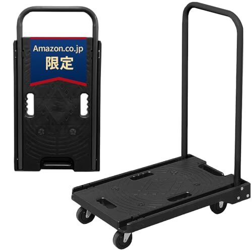 アイリスプラザ 台車 折りたたみ【ブラック】 持ち手ブラック 耐荷重 100kg コンパクト 軽量 静音 キャスター付き 　r.h