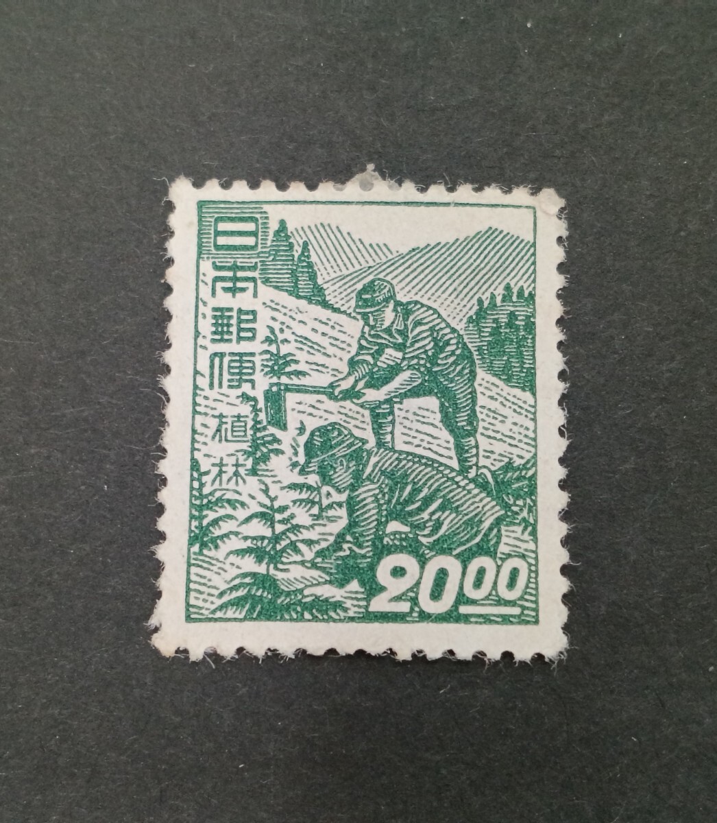 ●●　 日本切手　昭和すかしなし切手　植林　●●