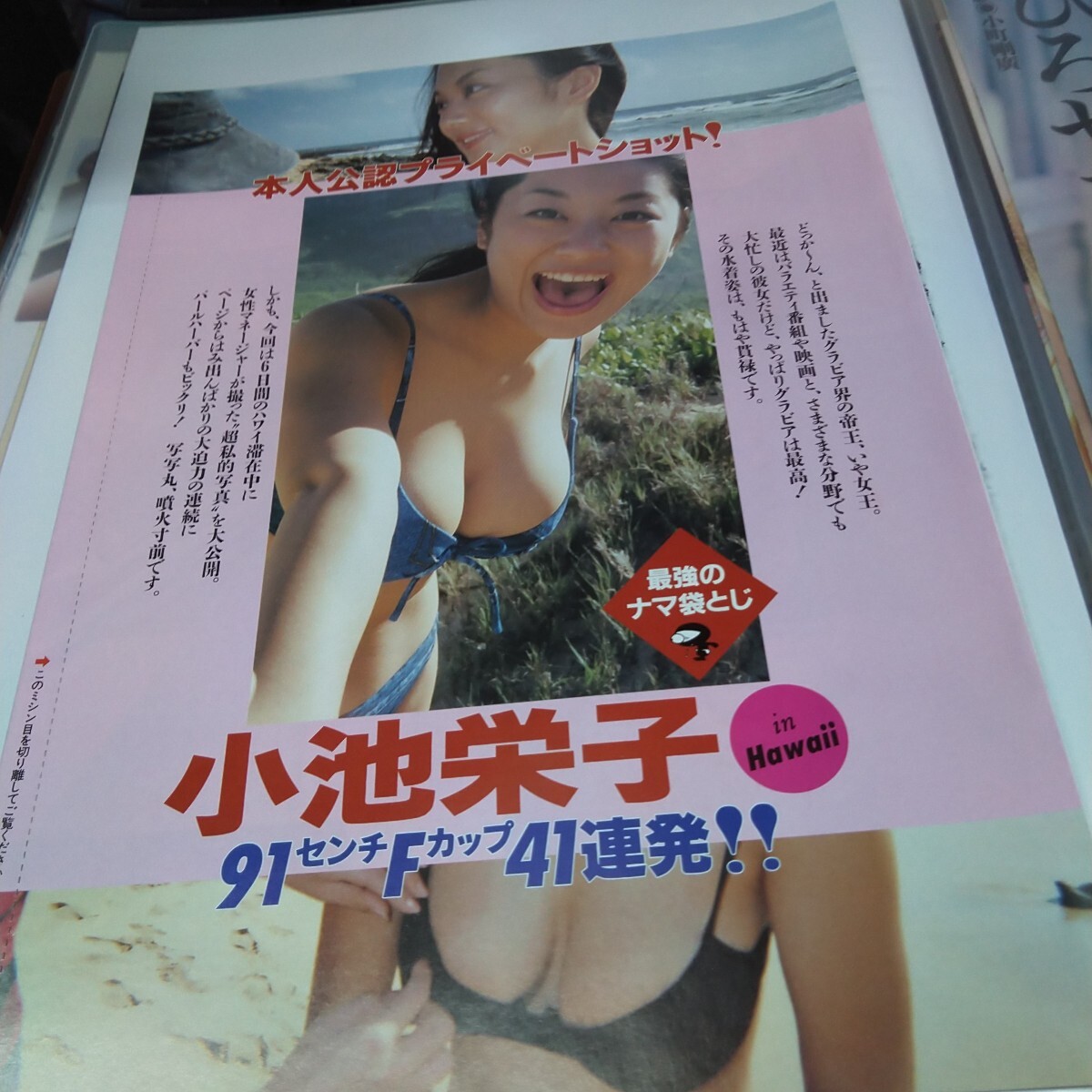 切り抜き　その122　小池栄子　袋とじ開封　8ページ　　　　