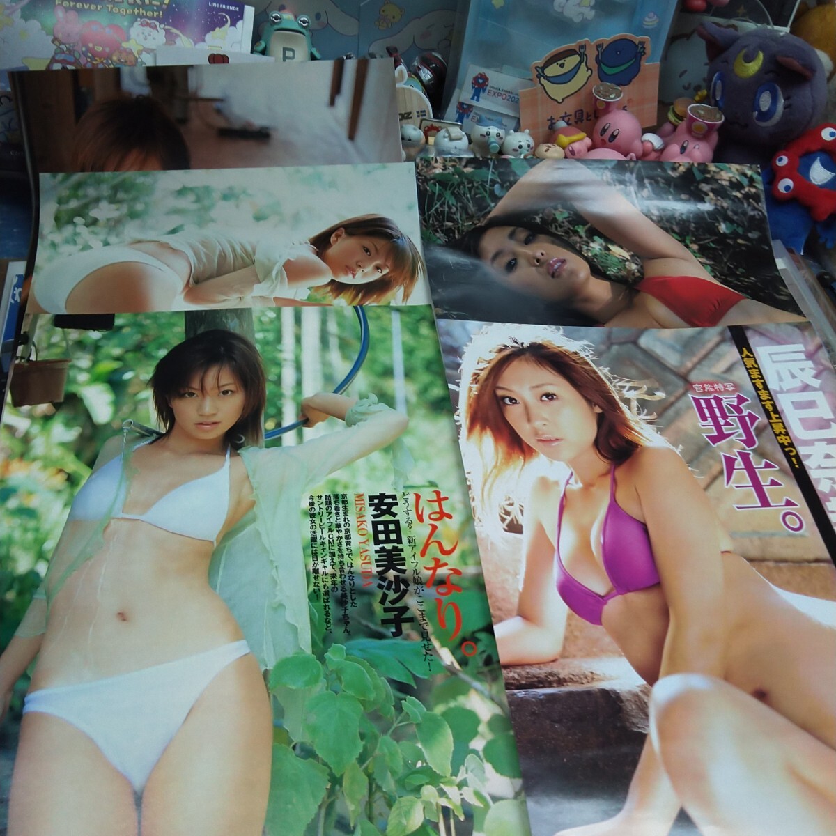 切り抜き　その114　辰巳奈都子　４ページ　安田美沙子　6ページ　　　　　　　