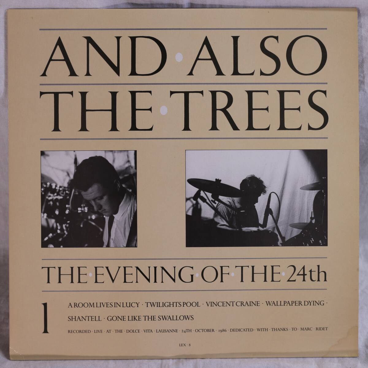0719【LPレコード】AND ALSO THE TREES/The Evening of the 24th/LEX-8