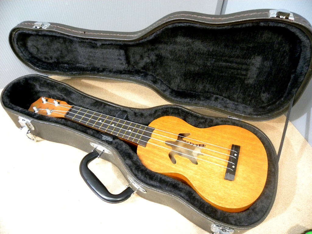 Ali i ウクレレ　ハードケース付き　中古美品