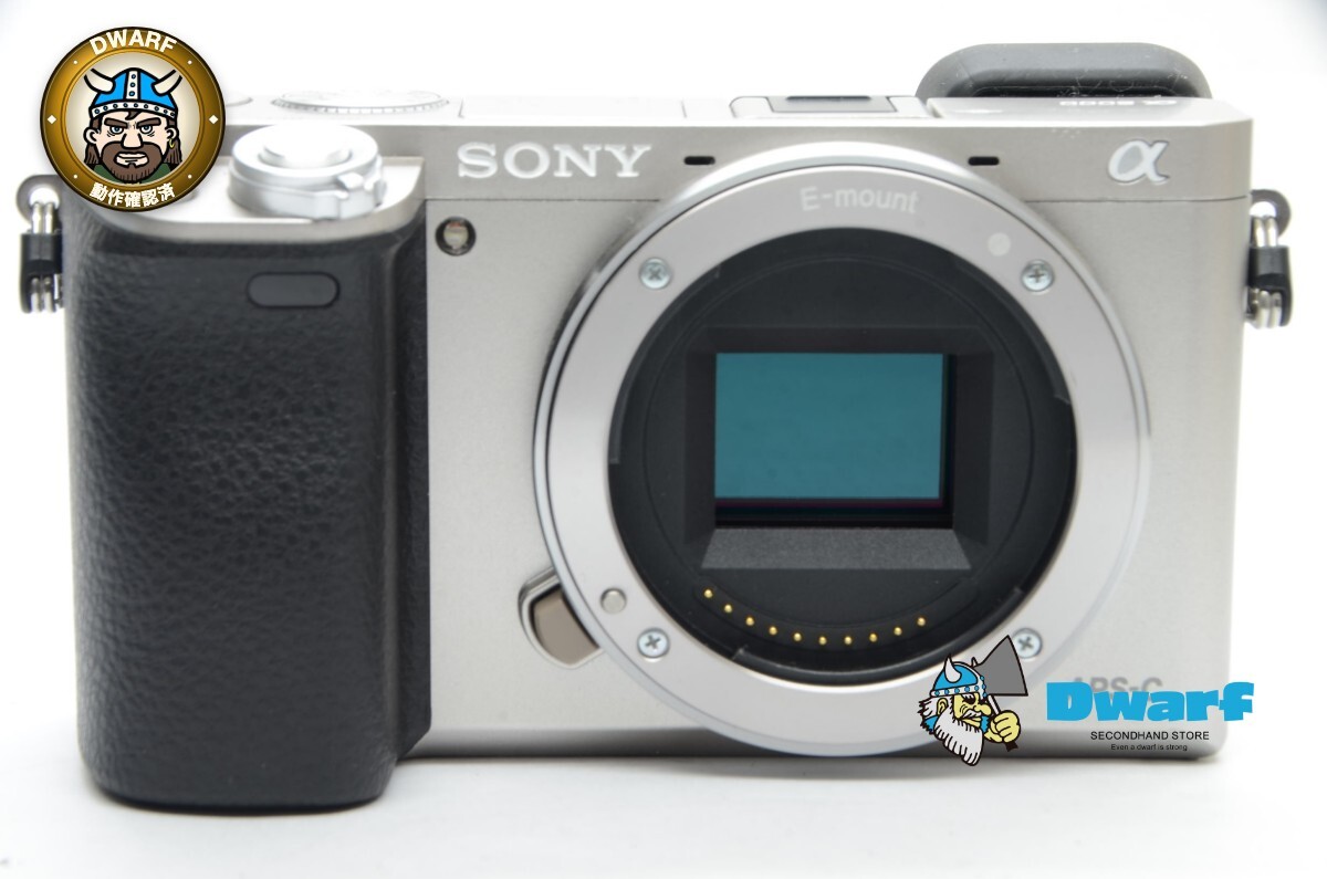 ソニー SONY α6000 BODY シルバー