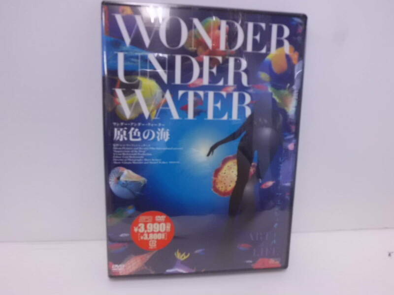 DVD 　原色の海　ワンダー・アンダー・ウオーター
