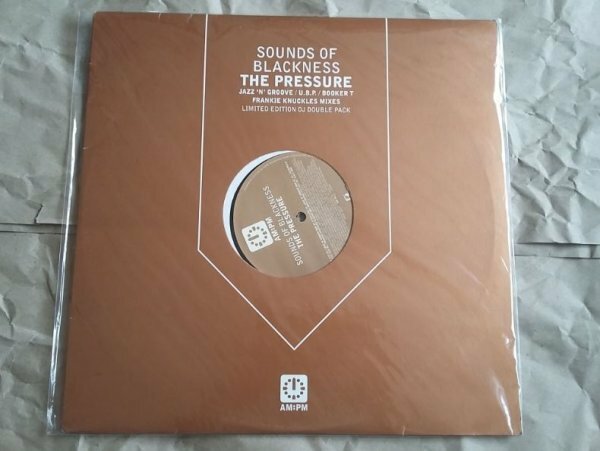 USMUS ★ 中古 LPレコード The Sounds of Blackness : The Pressure 1997年 12インチ ハウス Jazz n Groove, Frankie Knuckles
