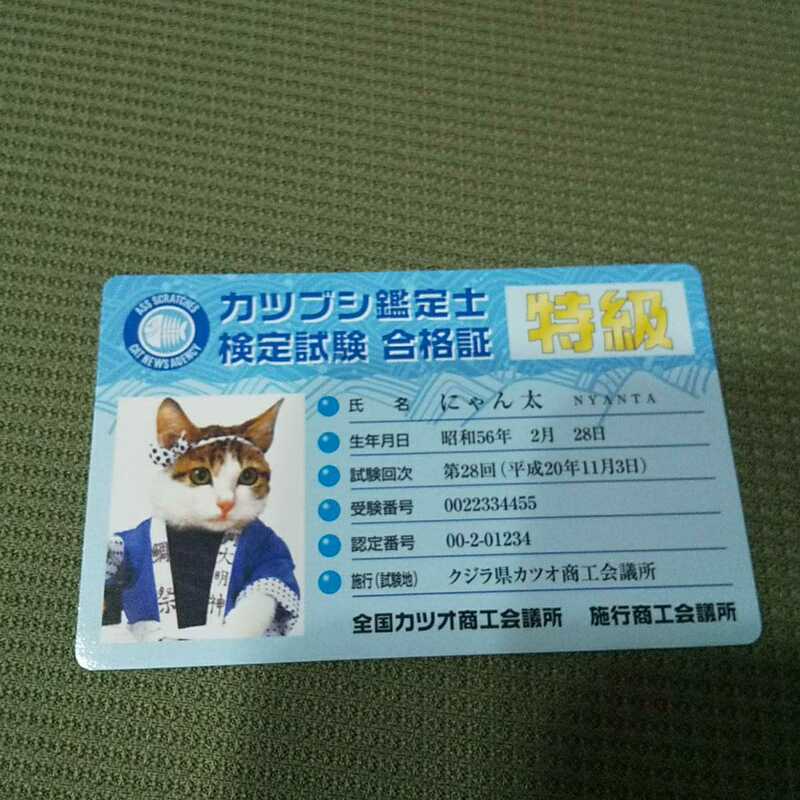 なめ猫 カード コレクション カツブシ鑑定士　合格証　特級　