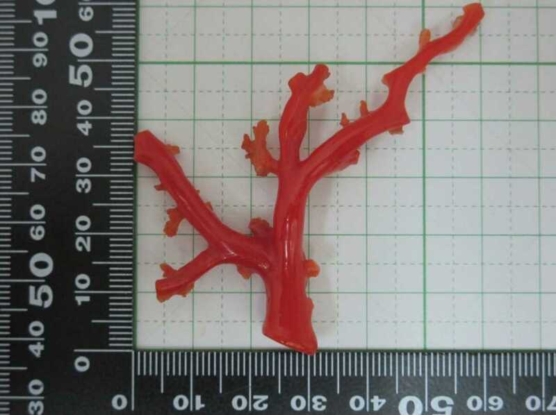 【TOP】血赤珊瑚 サンゴ 7.62g 枝 ルース オブジェ 根付 a986.