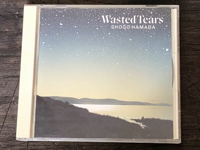 [CD]Wasted Tears ウェステッド・ティアーズ/浜田省吾