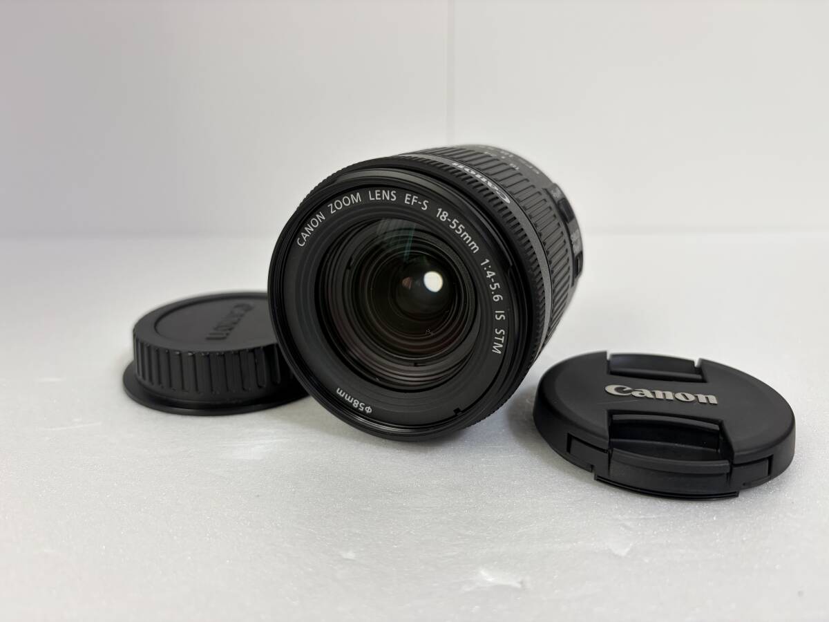Canon EF-S18-55mm F4-5.6 IS STM Canon EF-Sマウント