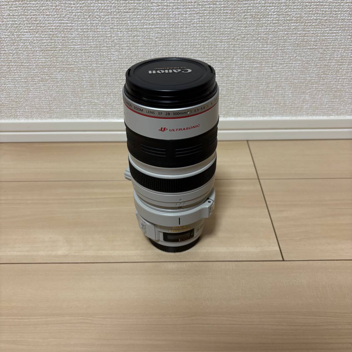 1円〜 キャノン Canon EF 28-300mm 1:3.5-5.6 L USM ULTRASONIC レンズ オートフォーカス 一眼レフカメラ用