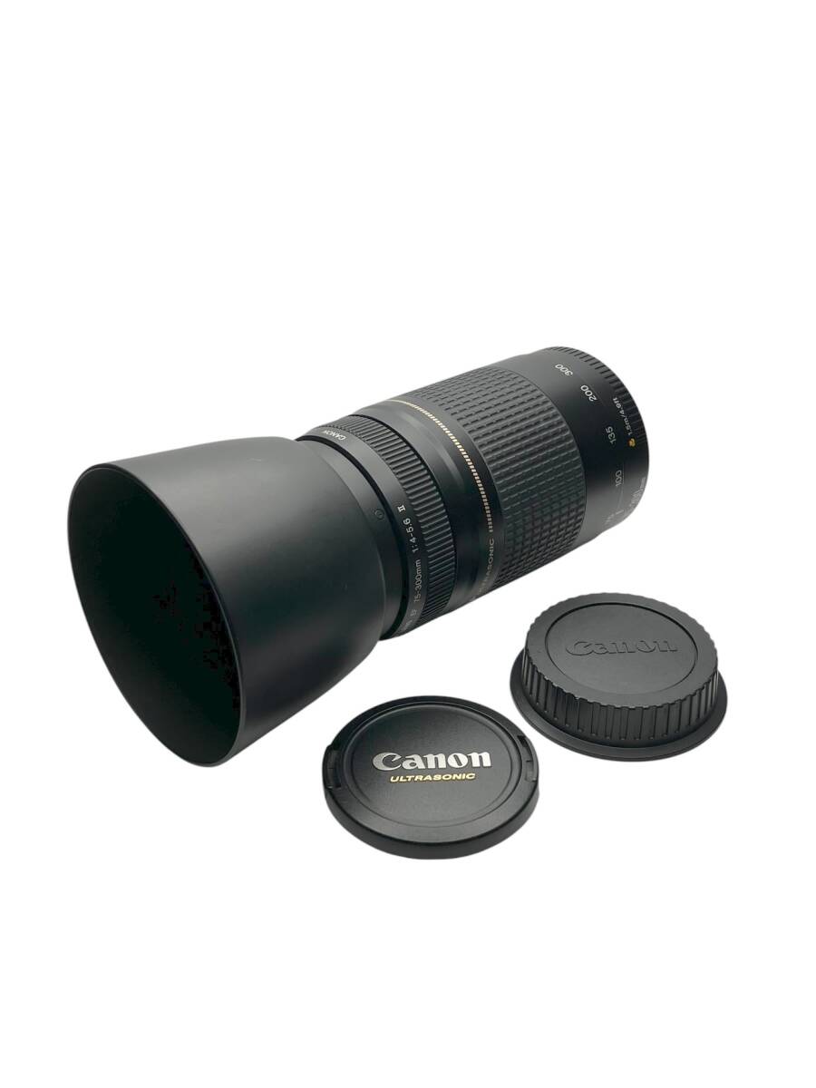 Canon EF 75-300mm F4-5.6 II キャノン オートフォーカス ズームレンズ //AM099910