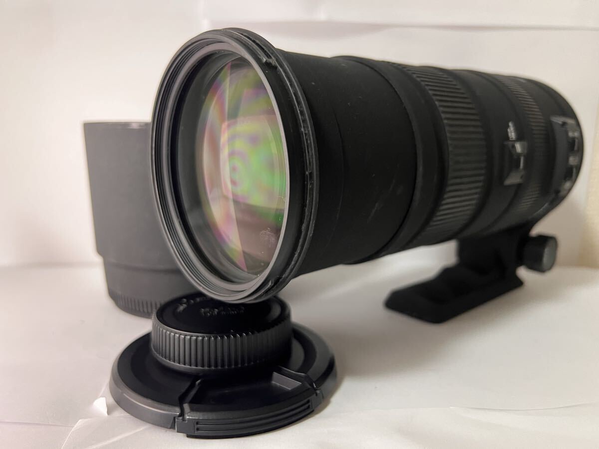 SIGMA シグマ APO 150-500mm F5-6.3 DG OS HSM NIKON ニコン ★動作確認済み #0455 #298
