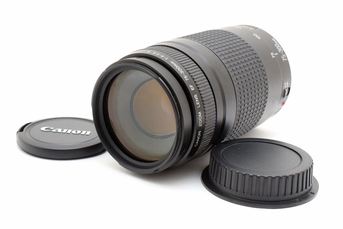 美品！Canon EF 75-300mm F4-5.6 II望遠レンズ
