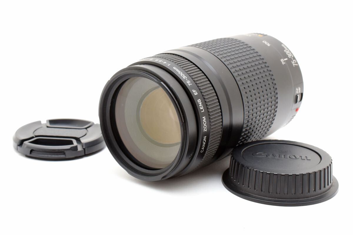大人気【超望遠レンズ】Canon EF 75-300mm F4-5.6 II