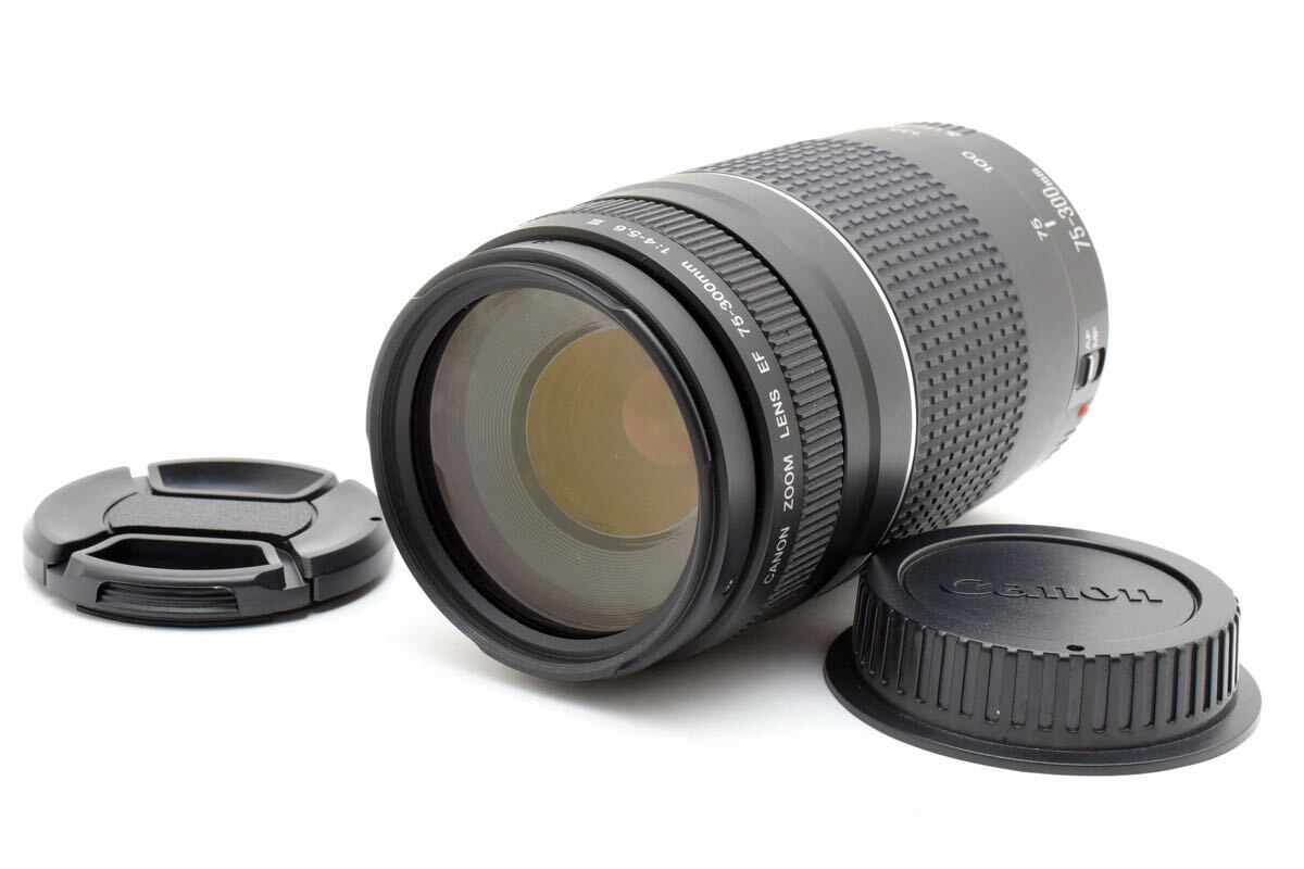 ☆美品☆Canon EF 75-300mm F4-5.6 III 望遠レンズ
