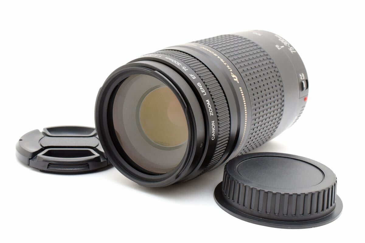 動作確認済 Canon EF 75-300mm F4-5.6 II 望遠レンズ 
