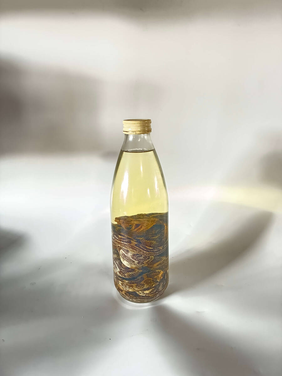 ハブ酒