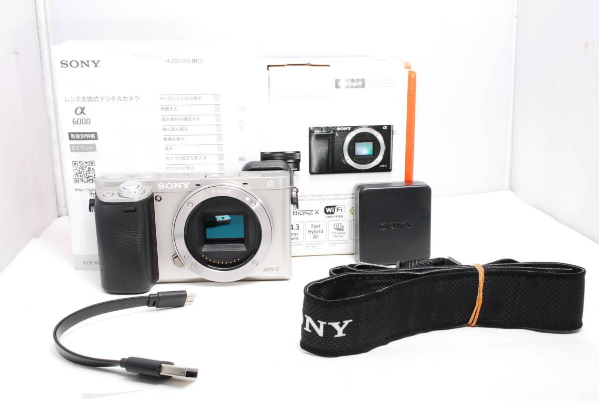〓外観非常に綺麗　付属品多数〓 ソニー SONY α6000 ILCE-6000