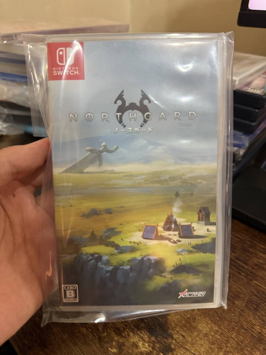 Nintendo Switch ノースガード Northgard CERO B
