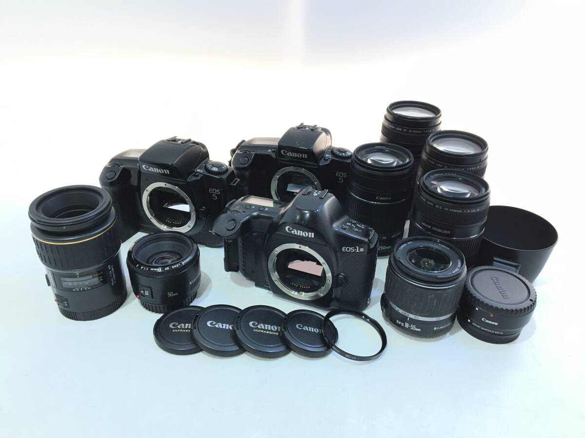 ☆ フィルム一眼カメラ まとめ 3 ☆ Canon EOS-1N + EOS 5 ×2 + EF 50mm 1:1.8 II + TAMRON 90mm 1:2.8 他 レンズ5本 キヤノン