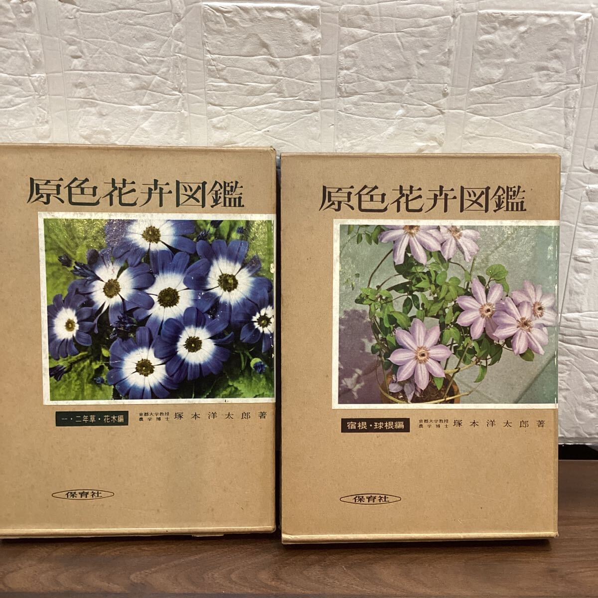 原色花弁図鑑上下巻二冊　図鑑【11725】（6）