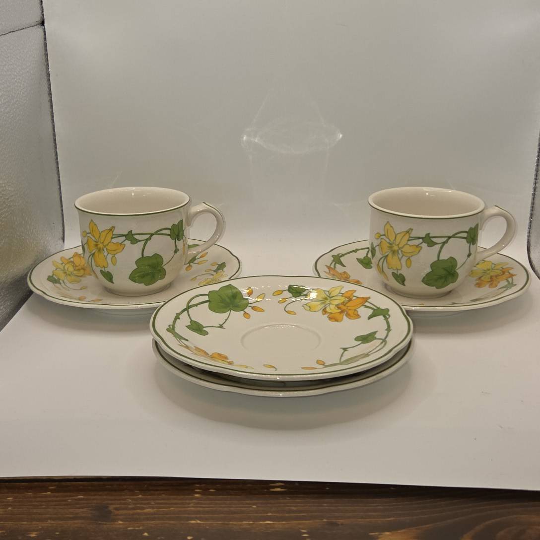 まとめ売 ビレロイ＆ボッホ ゼラニウム カップ＆ソーサー 2客 ソーサー 2枚 ドイツ製 Villeroy & Boch Geranium B689