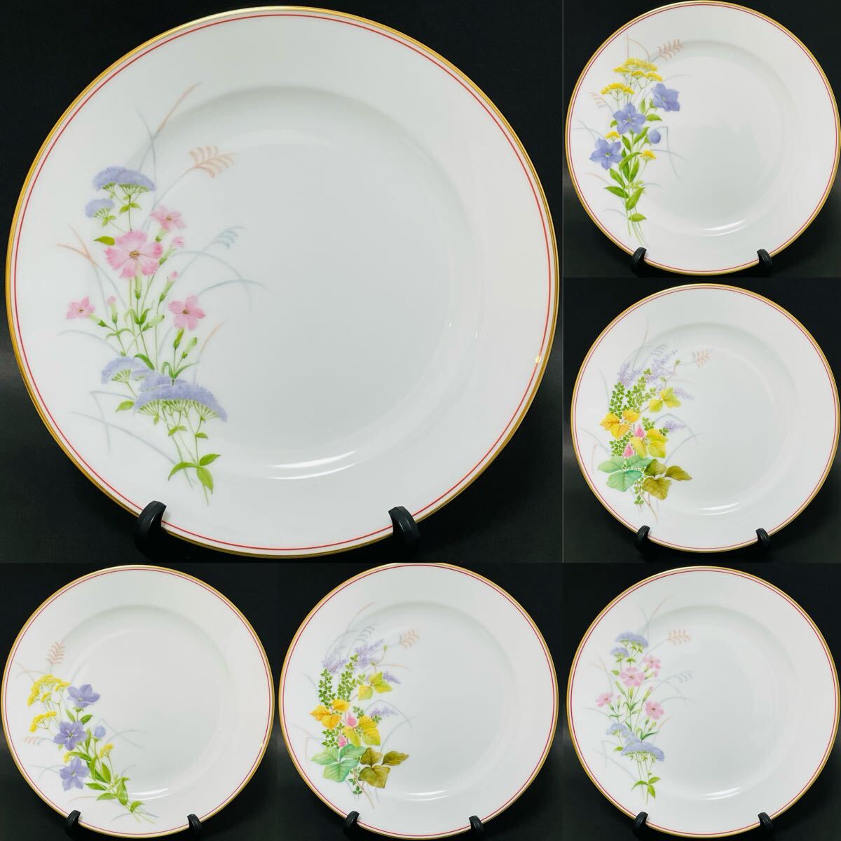 6枚セット 大倉陶園 OKURA 限定作品 Limited Edition 皿 プレート 柄違い3種×2 直径26cm 大皿 ディナープレート 花 植物 フラワー 金彩