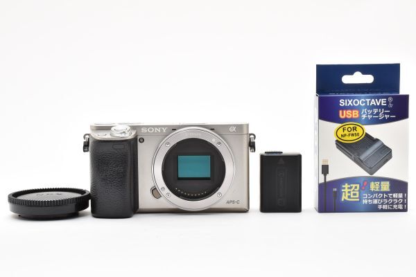 ソニー SONY α6000 ボディ ILCE-6000 ミラーレスカメラ#3840