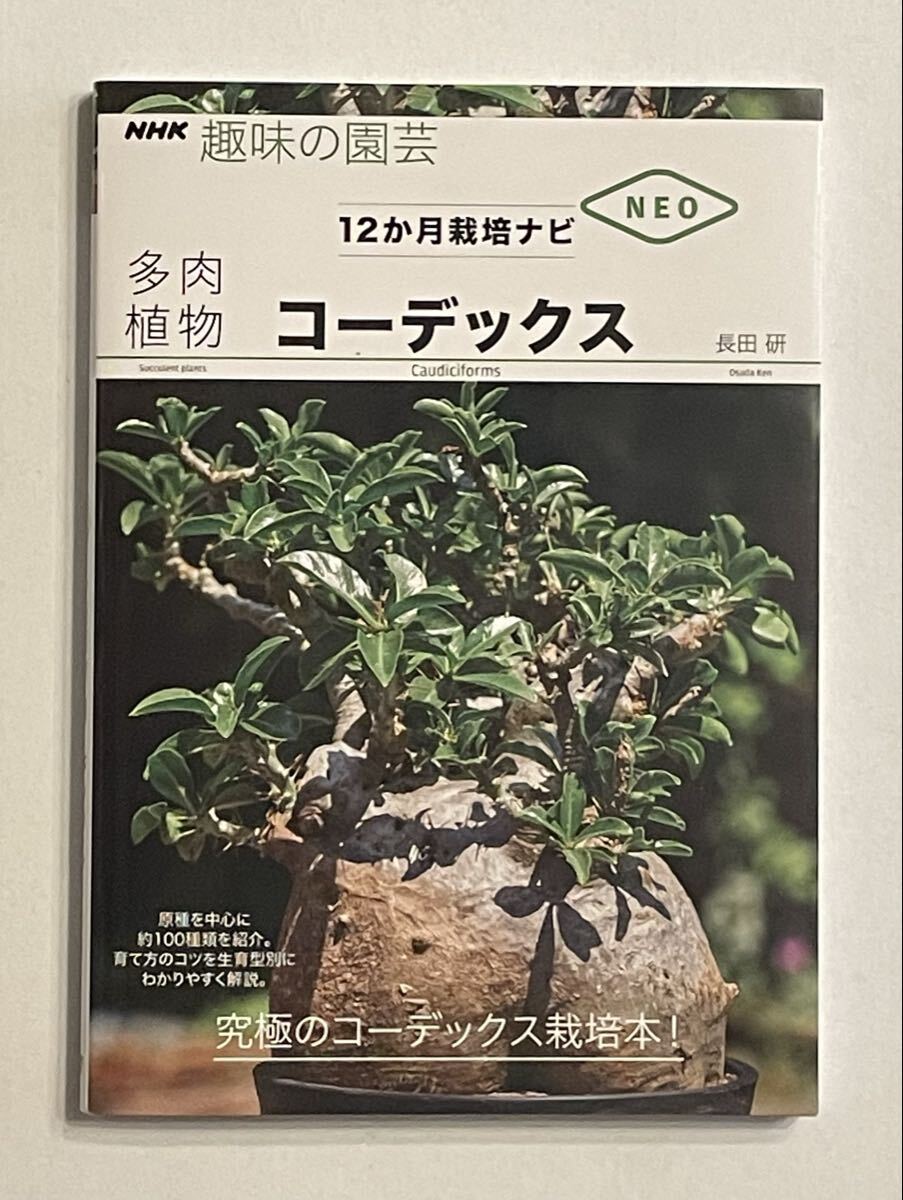 多肉植物　コーデックス ＮＨＫ趣味の園芸　１２か月栽培ナビNEO 長田研