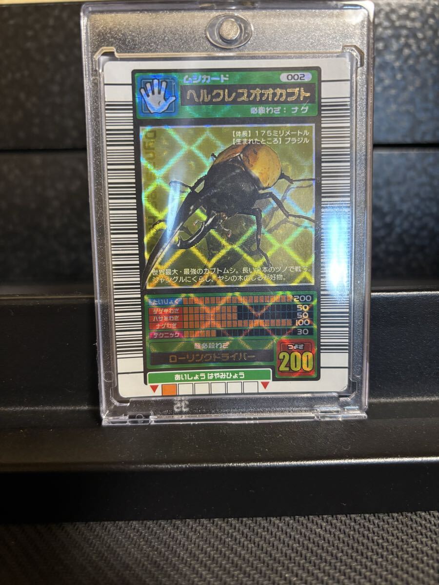 甲虫王者ムシキング ヘルクレスオオカブト SPRING 学名黒字