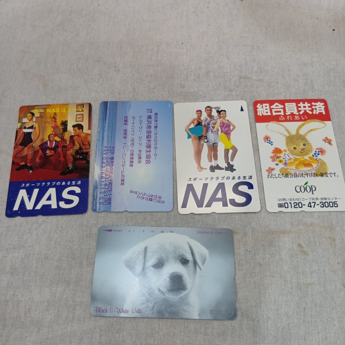 1円〜 テレホンカード NAS スポーツクラブ COOP Black & White いぬ 50度数×5枚セット レトロ テレフォンカード NTT 犬【L412-c. SH】