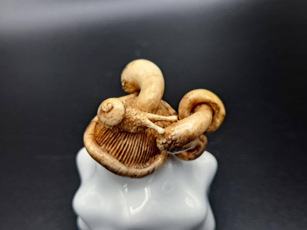 【13】明治・大正期？「椎茸に蝸牛」意匠　無銘　鹿角に見立てた天然素材根付