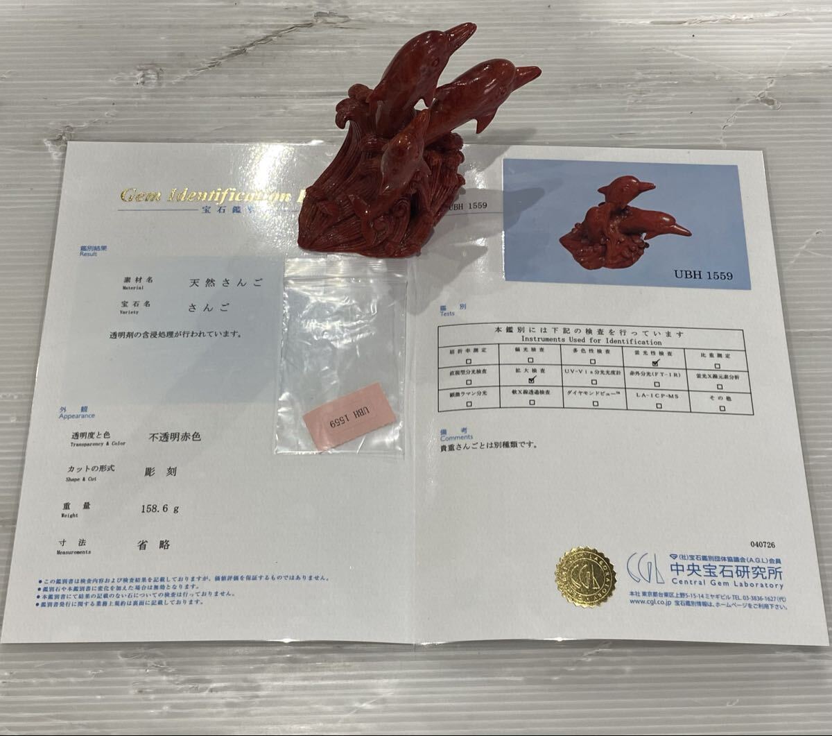 鑑別書付　珊瑚　さんご　天然さんご　天然素材　イルカ　海豚　彫刻　置物　オブジェ　骨董品　古美術品　高さ8.3cm 横11.5cm【68】