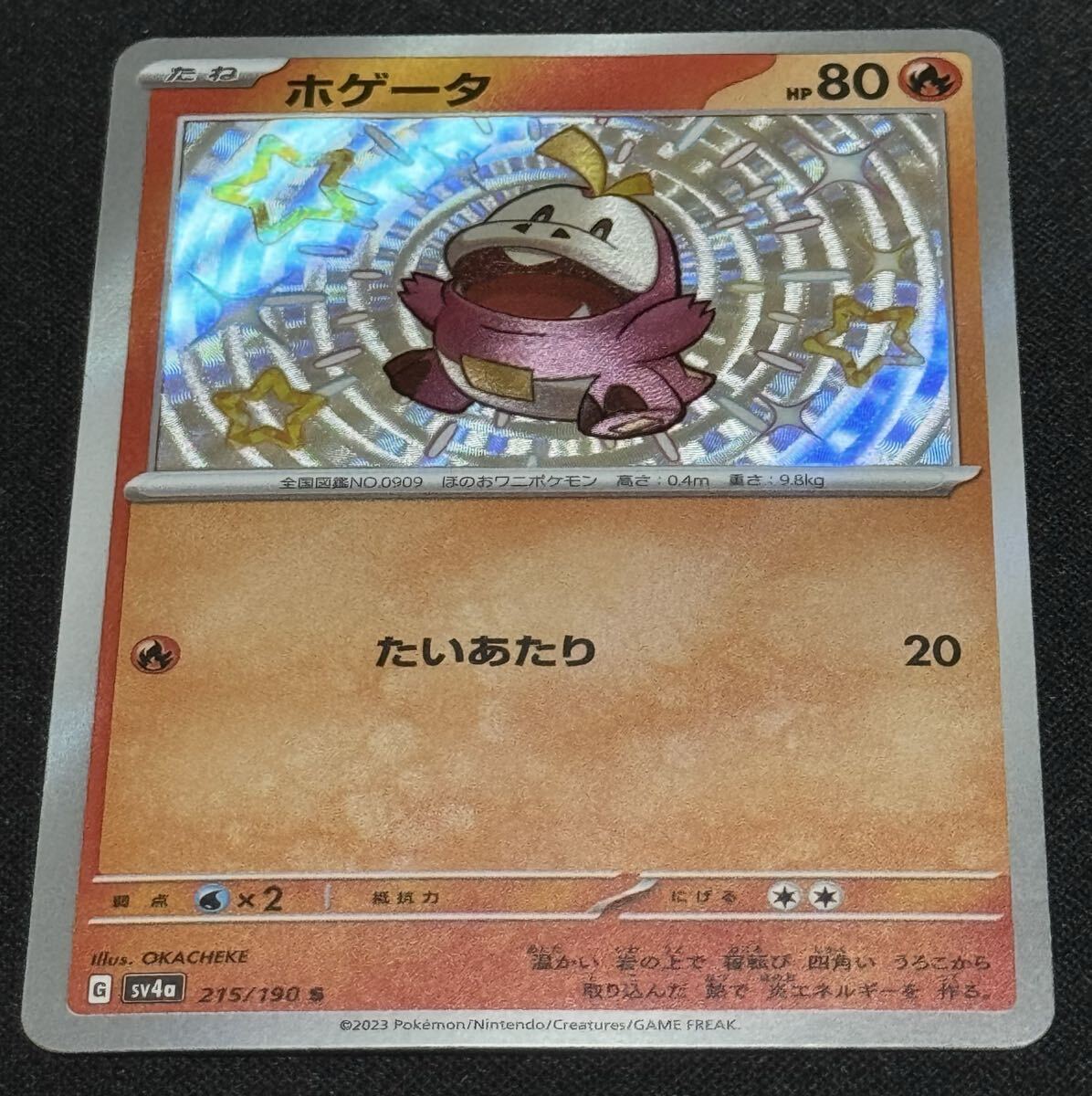 ポケモンカード ホゲータ S sv4a 215/190 シャイニートレジャーex