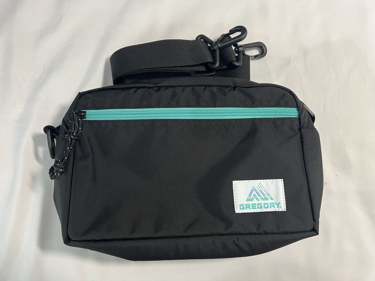 極美品　GREGORY×ノーティアム　コラボ　パデットショルダー　Lサイズ