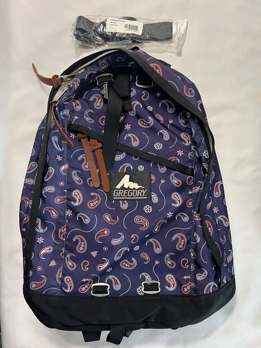 極美品　GREGORY 銀タグ　デイパック 26L バンダナ　ペイズリー柄