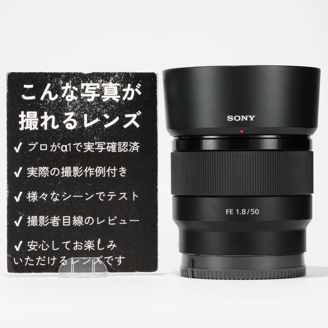 SONY FE 50mm F1.8 単焦点入門 α7III最適 美品 368