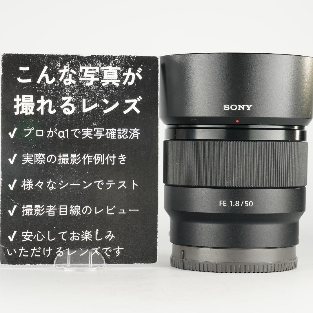 SONY FE 50mm F1.8 単焦点入門 α7III最適 美品 085