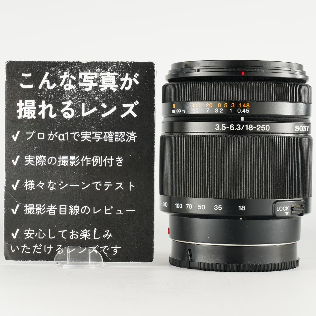 テスト済 SONY DT 18-250mm F3.5-6.3 647