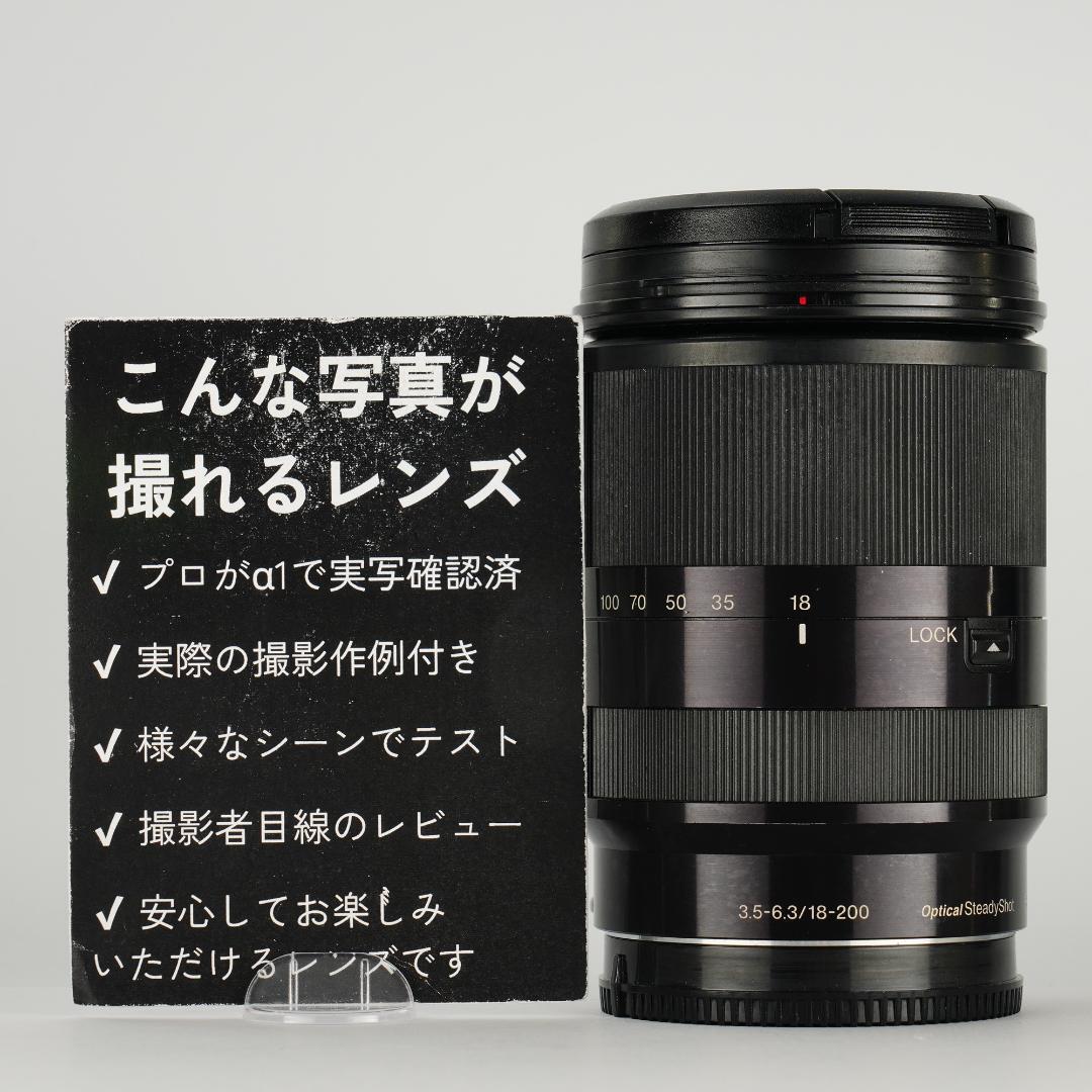 レンズ交換から解放される1本 SONY SEL18200LE 美品 835