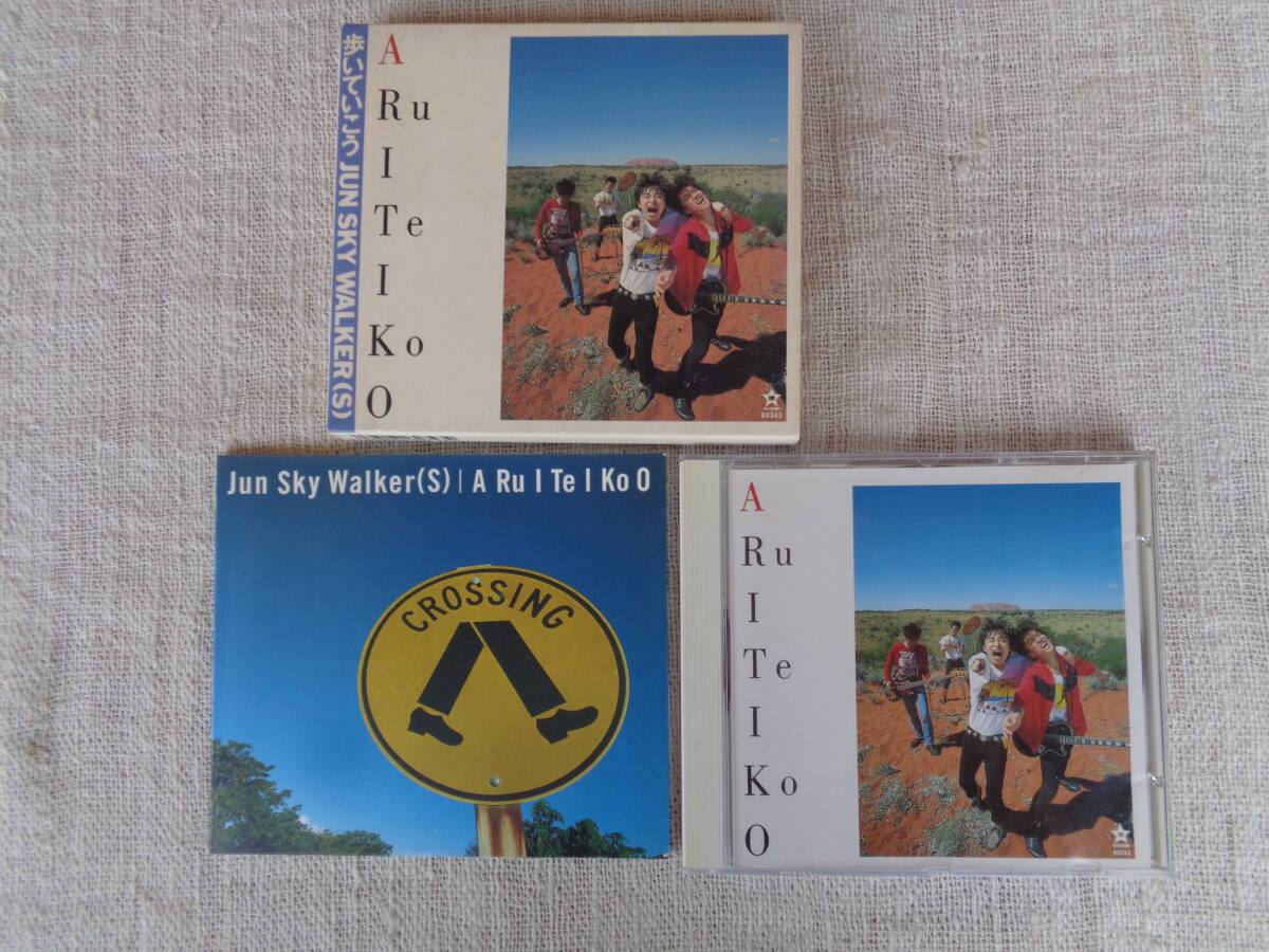 CD③「歩いていこう/JUN SKY WALKER (S)」①歩いていこう ②エルマーの夢 ③風見鶏 ④Street One Boy　他全14曲、1989年、バップ