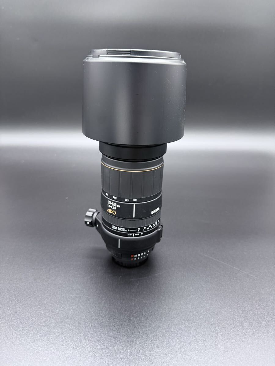 SIGMA APO 170-500mm F5-6.3 D 超望遠ズームレンズ 美品 フード付