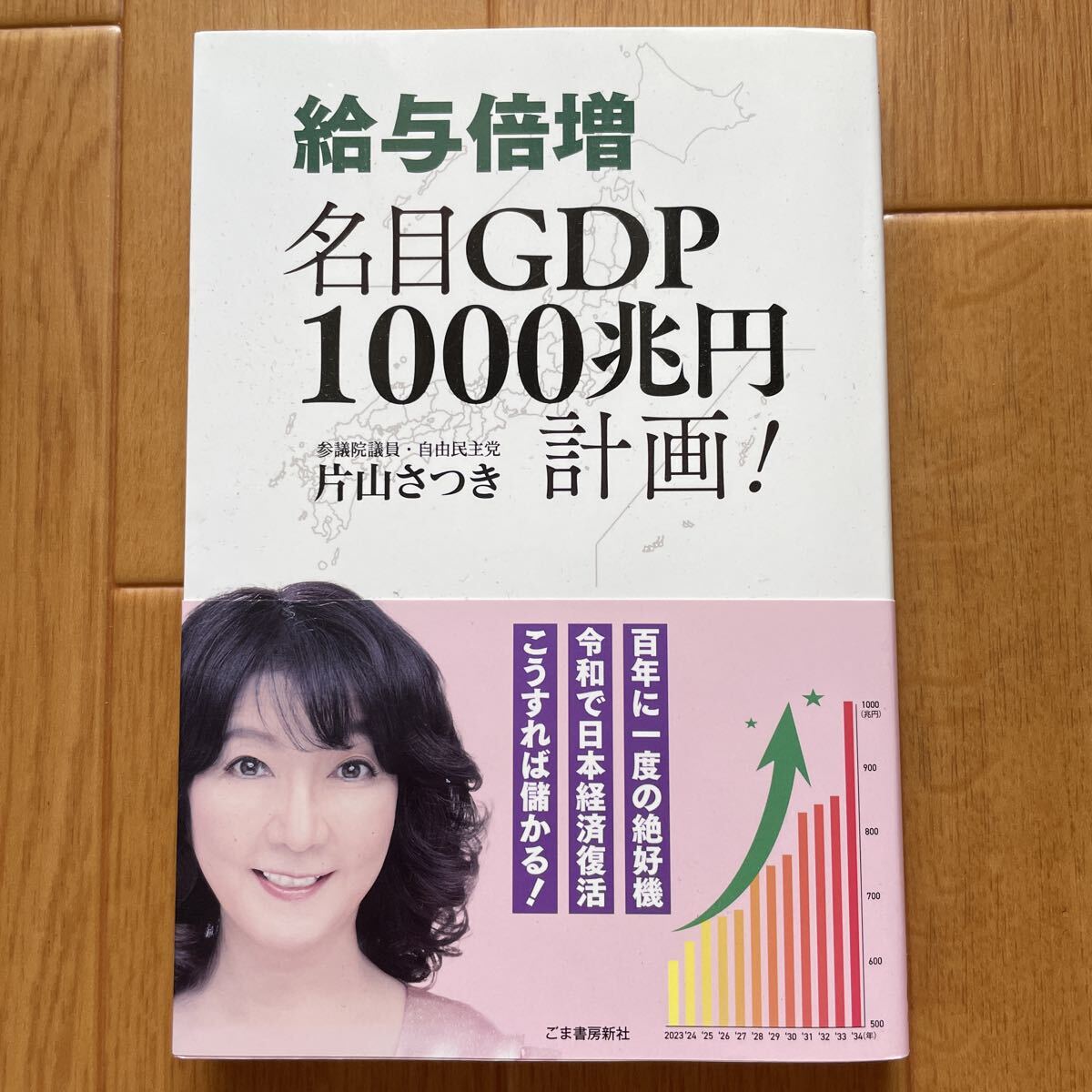 給与倍増 名目GDP1000兆円計画!　片山さつき