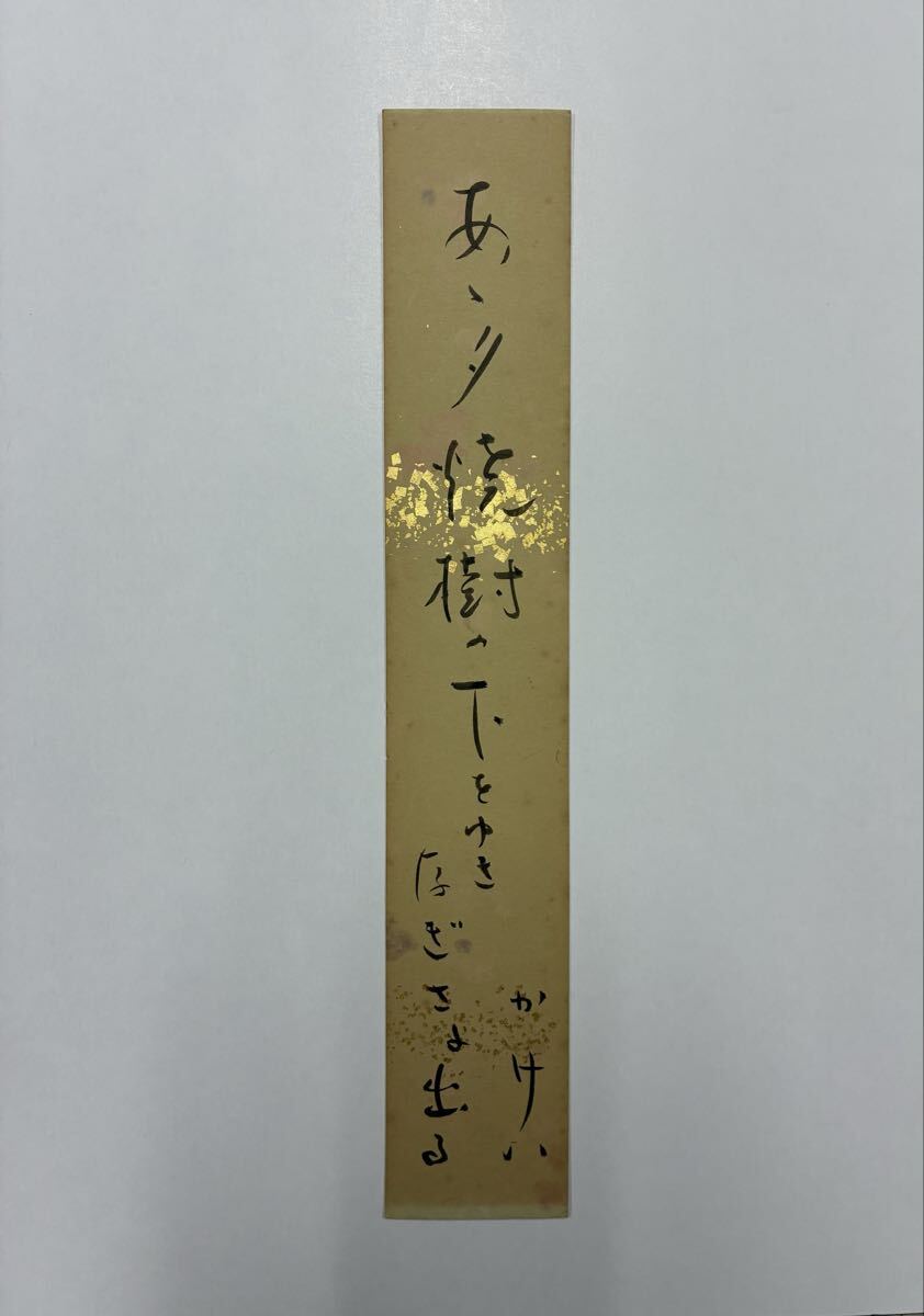 ２５　加藤かけい 肉筆短冊 自筆 直筆 俳句 俳人 名古屋ホトトギス会